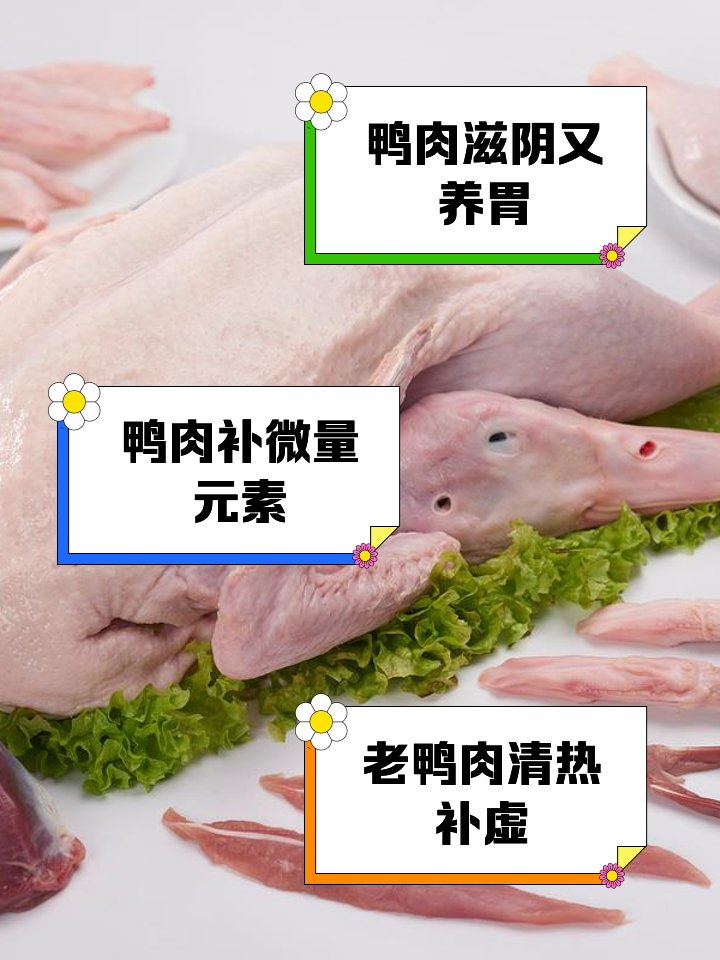 鸭子用痢菌净几天合适肉鸭用痢菌净什么时间用最好