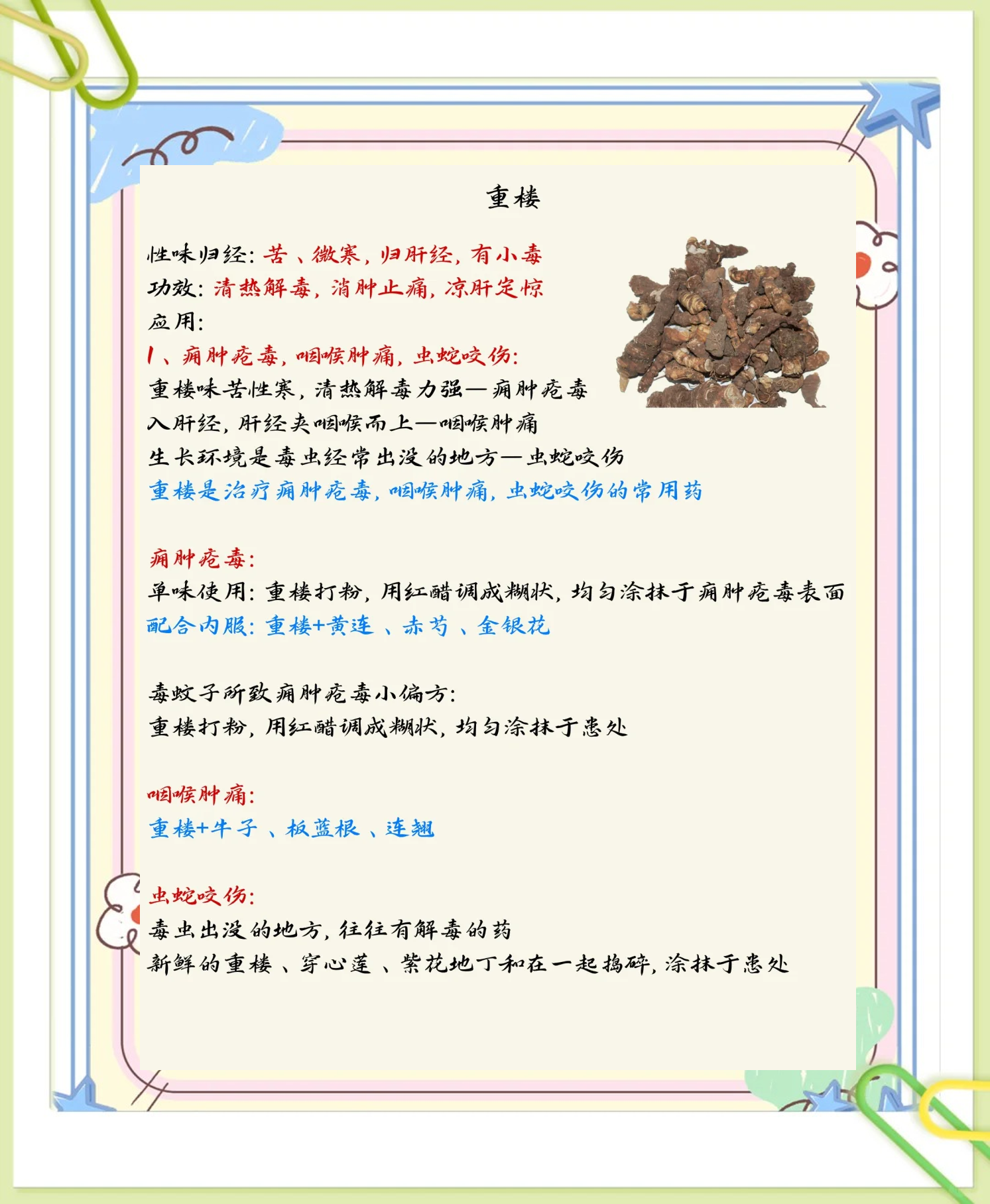 花七花的功效与作用≡七花有什么药用