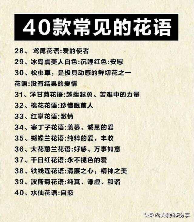 不同花的花语及故事你知道不同的花有不同的花语