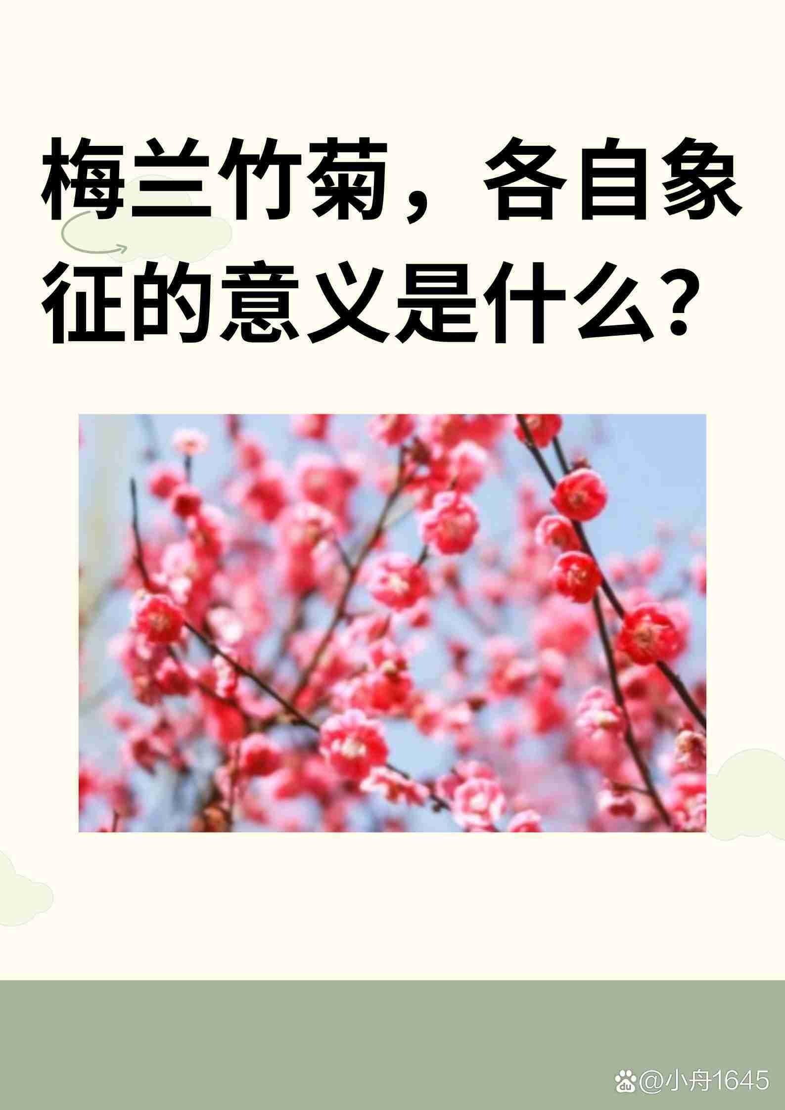 梅花花语是什么梅花最忌讳三个属相