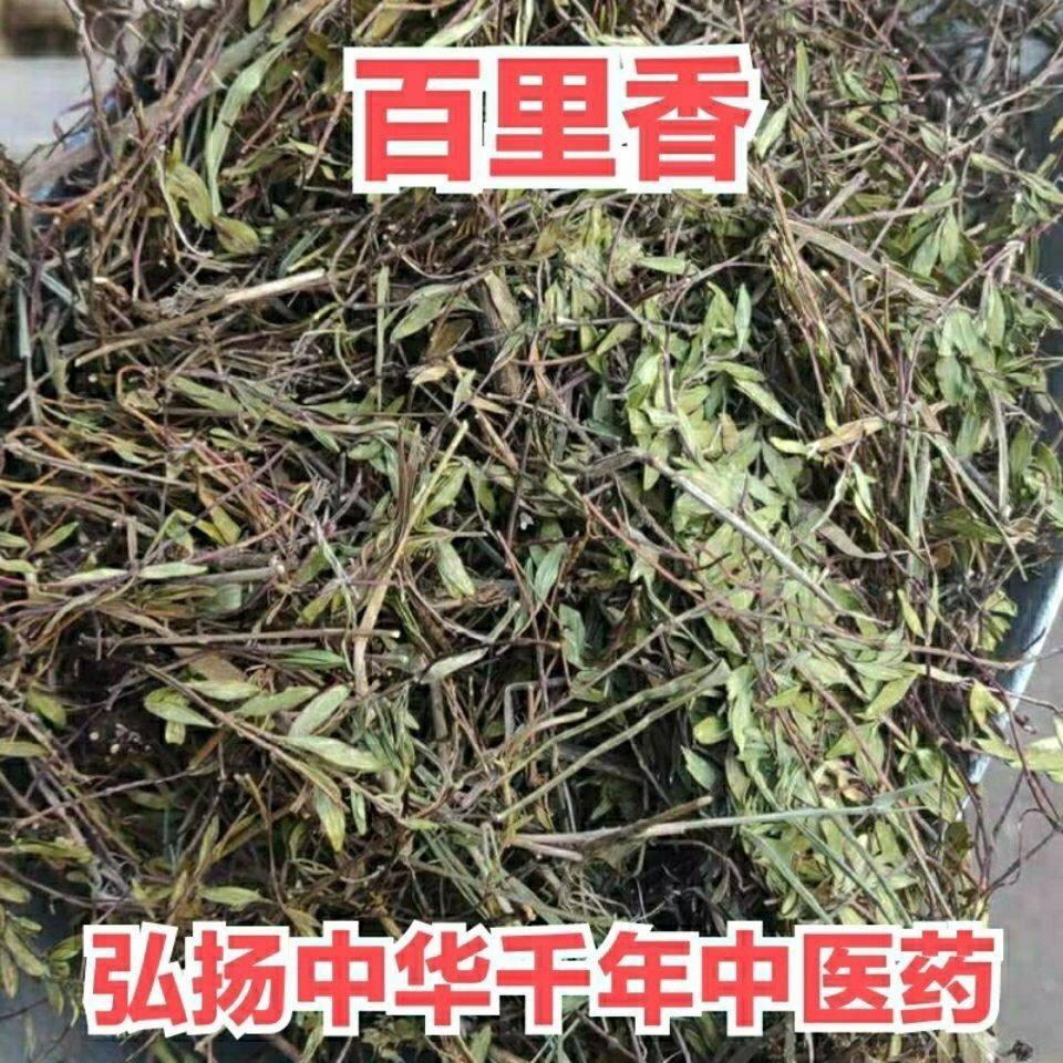 百里香的花语是什么意思百里香的花语是什么意思啊