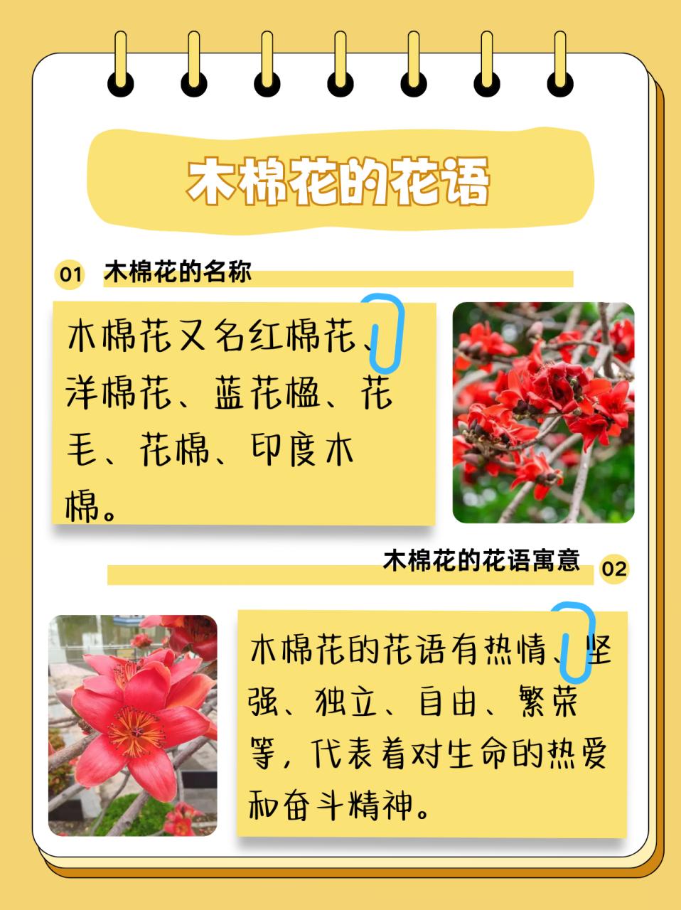 花名及花语及图片大全的简单介绍