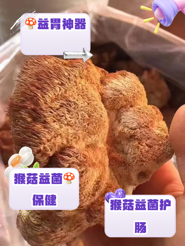 猴头菌颗粒去那里有卖猴头菌提取物颗粒哪个牌子的好